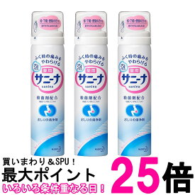 3個セット 花王 薬用 泡サニーナ 70g 送料無料 【SK26250】