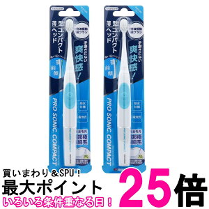 2Zbg }} DH310 BL gUuV v\jbNRpNg 炩 u[  ySK26289z