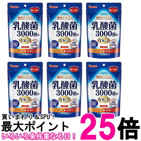 6個セット 山本漢方製薬 乳酸菌粒 90粒 送料無料 【SK26498】