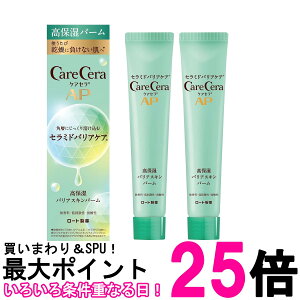 2Zbg [g PAZ AP ێoAXLo[ 24g  ySK26515z