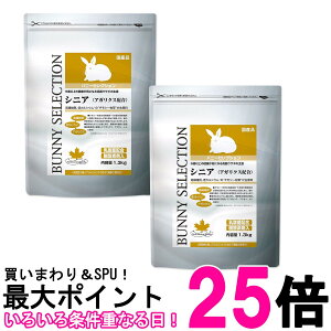 2Zbg C[X^[ oj[ZNV VjA 1.3kg p  ySK26817z