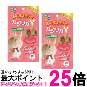 2Zbg nCybg JWJY 邨 10 nX^[ ETM t[h  ySK26954z