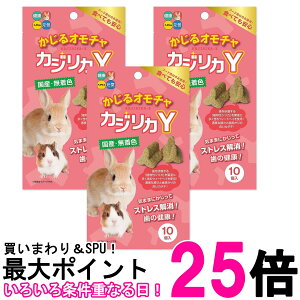 3Zbg nCybg JWJY 邨 10 nX^[ ETM t[h  ySK26955z