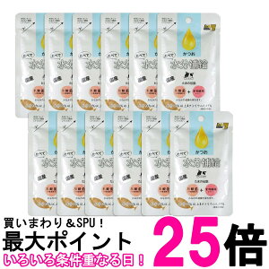 12Zbg OmHi ׂĐ⋋  ܂̓` 30g Lp EFbg pE` STIT[  ySK27065z