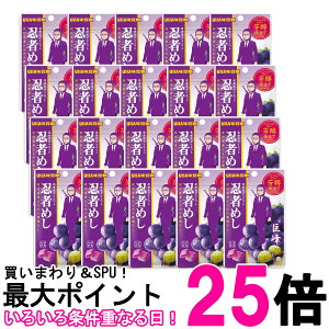 20Zbg UHAo e|ma E҂߂  20g  ySK27528z