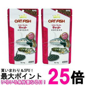 2Zbg L[ qJ ЂNXgLbg 75g H  ySK27557z