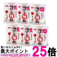 6個セット ノーベル 梅ぼしの種飴 キャンディ お菓子 30g 送料無料 【SK27713】