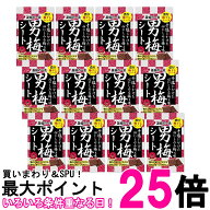 12個セット ノーベル 男梅シート お菓子 27g 送料無料 【SK27719】