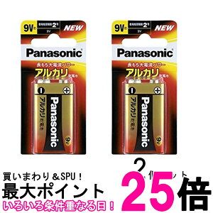 2Zbg pi\jbN 6LR61XJ/1B AJdr 9V` 1{pbN Panasonic  ySK28188z