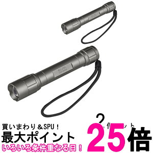 2�Z�b�g �G���p DOP-EP430 �V���o�[ LED�����d�� �h�� ���邳350���[���� �t�H�[�J�X�@�\�t �n���h�X�g���b�v�t�� �d�r�� �������� �ySK28221�z