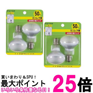 2�Z�b�g ���U�� RF5017502P �~�j���t�� R50 E17���� 50W 2�� �n�C�r�[�� �d�� YAZAWA �������� �ySK28263�z