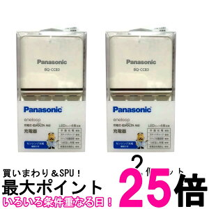 2Zbg pi\jbNBQCC83(BQ-CC83) P3`P4`jbPfdrp x[VbN[d Panasonic  ySK28272z