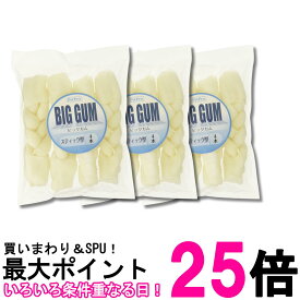 3個セット ペットプロ 犬用おやつ ミルク BIGガム スティック型 4本入 送料無料 【SK28585】
