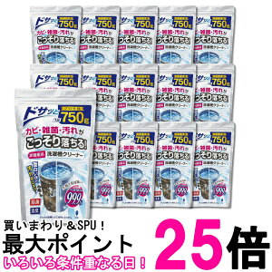 15�Z�b�g ���v�ۍH�Ə� �I�z�����e �񉖑f�n���󑅃N���[�i�[ �����^�C�v 750g �������� �ySK29579�z