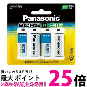 2�Z�b�g �p�i�\�j�b�N 2CR-5W/2P �J�����p���`�E���d�r 6V 2�� Panasonic �������� �ySK30171�z