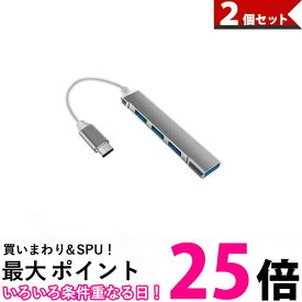 2個セット USBハブ USB3.0 Type-C バスパワー 4ポート 4in1 拡張 軽量 コンパクト スリム グレー (管理S) 【SK30710】