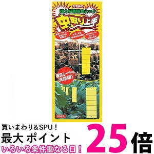 3�Z�b�g �J������H�� ������� ���͔S���ߒ��V�[�g ���F 20���� �������� �ySK30957�z