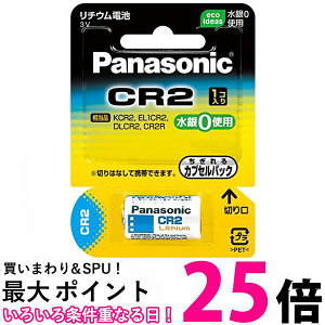 3�Z�b�g �p�i�\�j�b�N CR-2W �J�����p���`�E���d�r Panasonic �������� �ySK31315�z