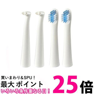 �I������ SB-192 2�{���� �����Ԃ݂����u���V �^�C�v2 SB142 2�{���� ���C�����R���p�N�g�u���V �^�C�v2 �ւ��u���V �Z�b�g �������� �ySK31857�z