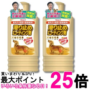 2�Z�b�g �������C ����~�� ���p�R�[�e�B���O�� 500ml �������� �ySK32081�z