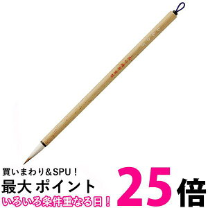 | JA314-7 וM 炳 7  ySG40555z