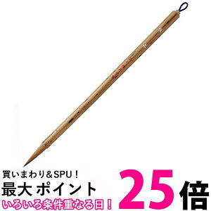 | JA316-7 וM i 7  ySG40557z