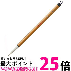 | JC318-4 M o 4  ySG40585z