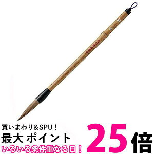 | JC321-4 M D 4  ySG40588z