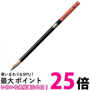 | JG304-404 npM ʗ   ySG41119z