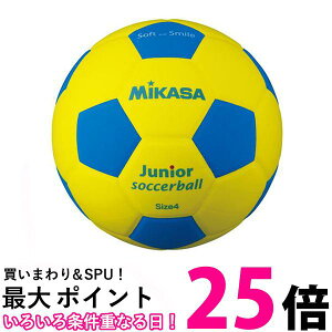 ~JT SF4J-YBL WjATbJ[ EVA 4 /  ySG41225z