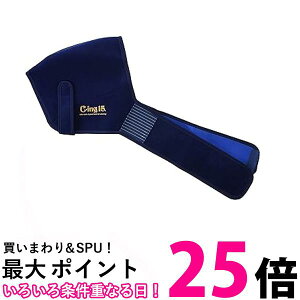 [bg }蓖 N[_E  ACVO T|[^[ C-ing15 AIC5200 ZETT  ySG43407z