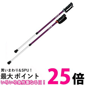 񂵂2{/p[v  ySG43621z