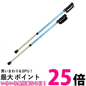 񂵂2{/u[  ySG43624z