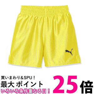 v[} TbJ[ Q[pc LIGA RA WjA LbY 729970 TCo[CG[/v[}ubN07 120  ySG44278z