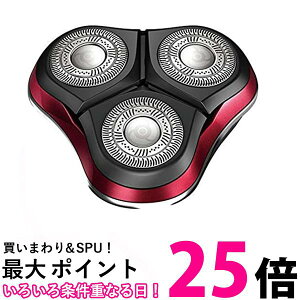 CY~ p֐niOn/nZbgjIZUMI SR-N12  ySG61673z