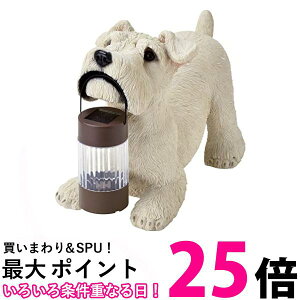 ZgNtg \[[I[ig ~j`AViEU[ SR-0890  ySG63824z