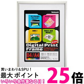 ナカバヤシ フォトフレーム アルミ製プリントフレーム B4 A4判 フ-DPA-B4 送料無料 【SG67472】