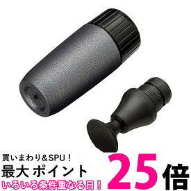 HAKUBA メンテナンス用品 レンズペン3 レンズ用 ガンメタリック スペア KMC-LP12GH 送料無料 【SG68321】
