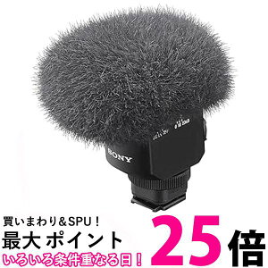 \j[ Jp EChXN[t ECM-M1  ySG80499z