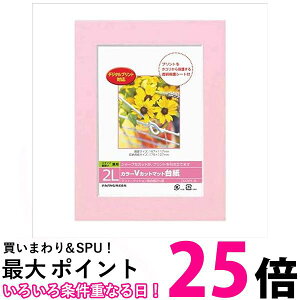 iJoV DGVM-2L-P J[VJbg}bg䎆2LTCY GNgjNX  ySG80702z