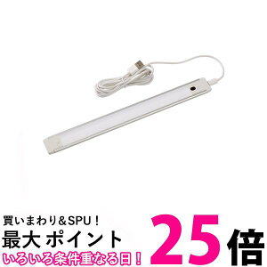 Gp LEDړIUSBvbV LEDCg 280lm ALT-USB2030PS(D)  ySG83736z