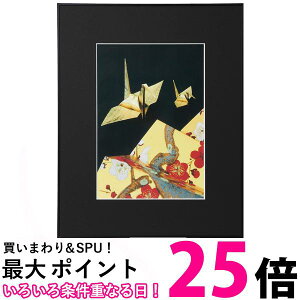 ケンコー アルミ額縁 ケンコー 画廊 アクリルタイプ A3 ブラック AGR-A3-BK-AC 送料無料 【SG84401】