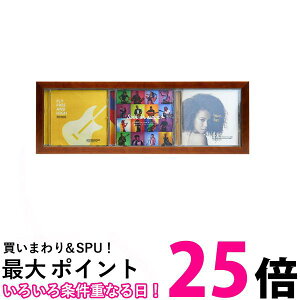 PR[ z CDfBXvCt[ CDWPbg3[\ Ru^Cv uE O460×159mm PS-CD3Y-BR  ySG84482z