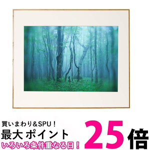 PR[ z M[ A2 AN^Cv A~t[ i` AGY-A2-NA  ySG84538z