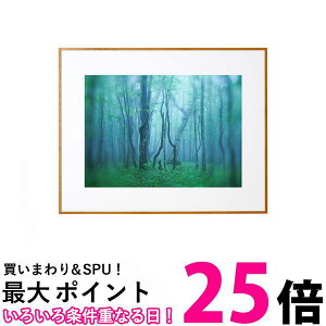 PR[ z M[ Ch4 AN^Cv A~t[ i` AGY-W4-NA  ySG84553z