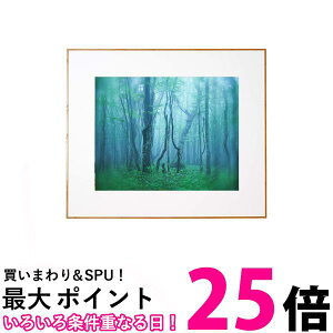 PR[ z M[ S AN^Cv A~t[ i` AGY-Z-NA  ySG84556z