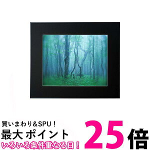 PR[ z M[ S AN^Cv A~t[ ubN AGY-Z-BK  ySG84557z