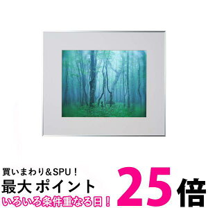 PR[ z M[  AN^Cv A~t[ Vo[ AGY-H-SV  ySG84558z