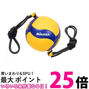 ~JT V400W-AT-TR CG[/u[ SЂŒ莮A^bNKo[{[ 4 wEwlp MIKASA  ySG88339z