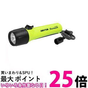 WFgX LED d 邳300[ p_8 ϐo 25mh P3`dr4{gp Tx[W[ SR-320DT  ySG89813z